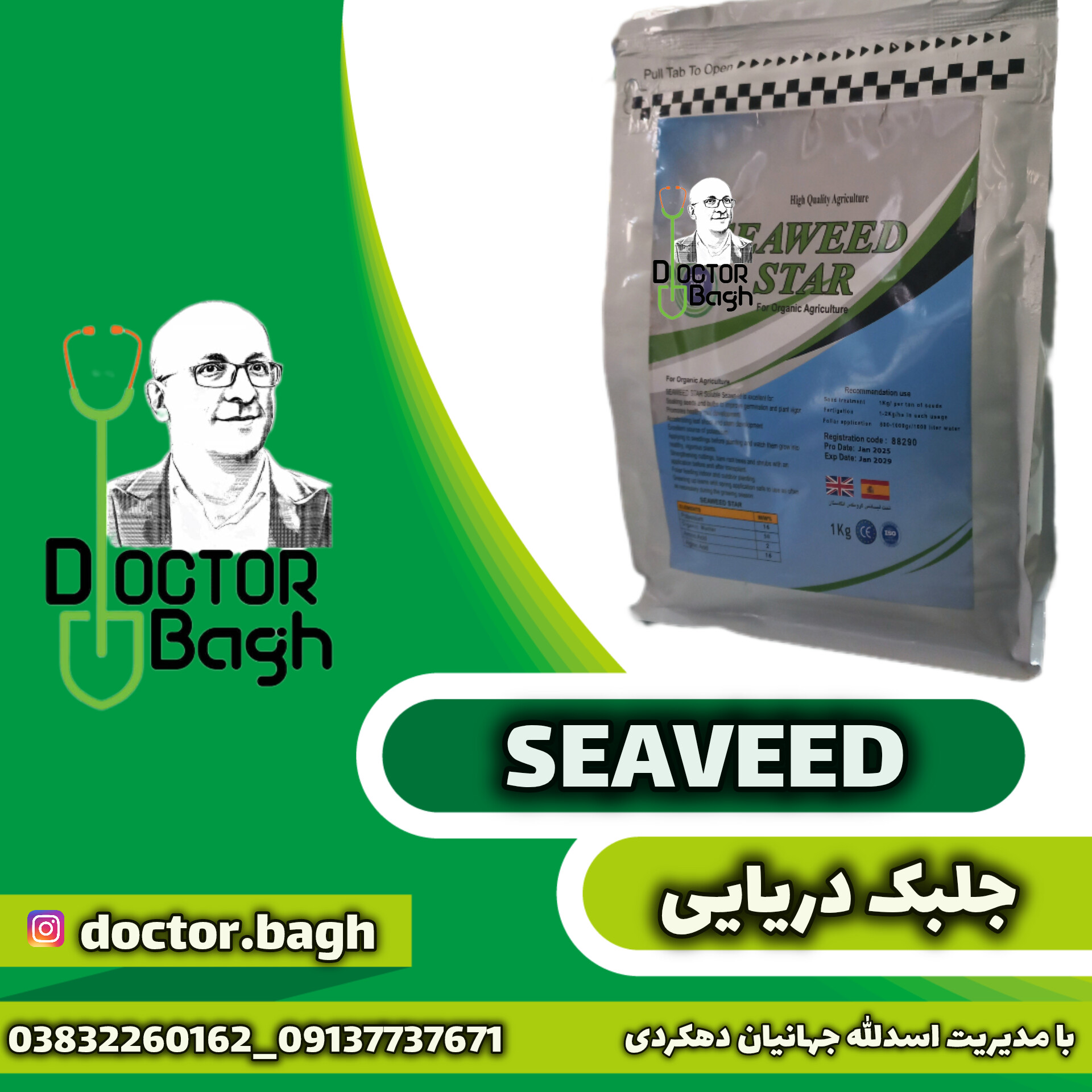 جلبک دریایی